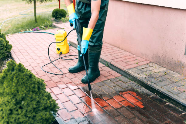 Best Gutter Cleaning and Brightening in North Tonawanda, NY